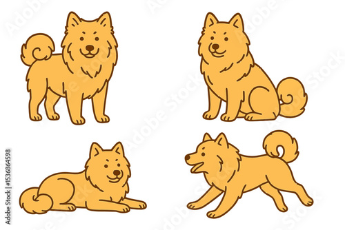 Eurasier in various poses on a transparent background  