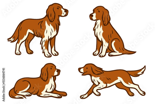 German Longhaired Pointer in various poses and angles on a transparent background