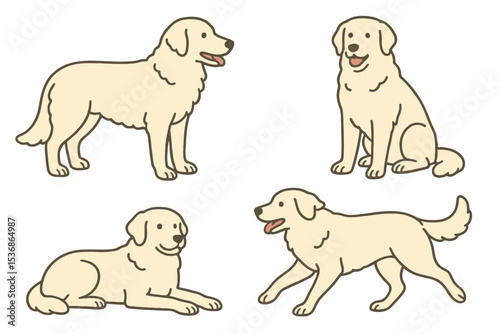 Kuvasz in different poses on a transparent background  
