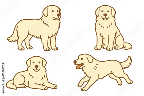 Maremma Sheepdog in various poses and expressions  on a transparent background
