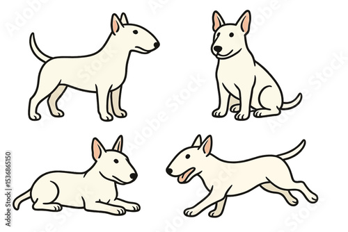 Miniature Bull Terrier in various poses on a transparent background 