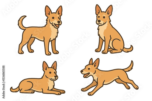 Portuguese Podengo in different poses on transparent background