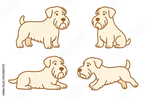 Sealyham Terrier in different poses on transparent background