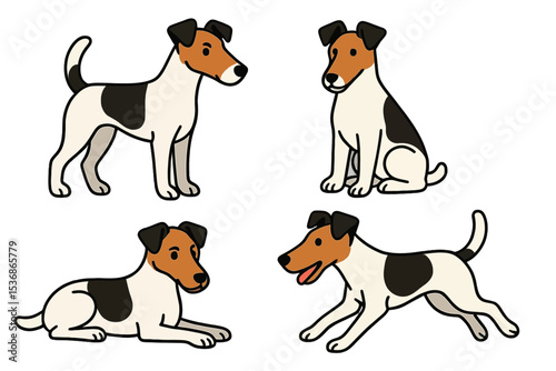 Smooth Fox Terrier in different poses on transparent background