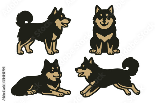 Swedish Lapphund in different poses on transparent background