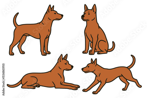 Thai Ridgeback in different poses on transparent background