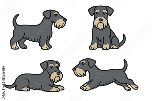 Cesky Terrier in different poses on transparent background