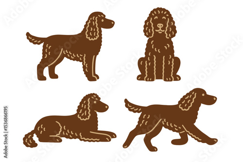 Irish Water Spaniel in different poses on transparent background