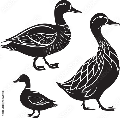 Set of duck silhouettes vector