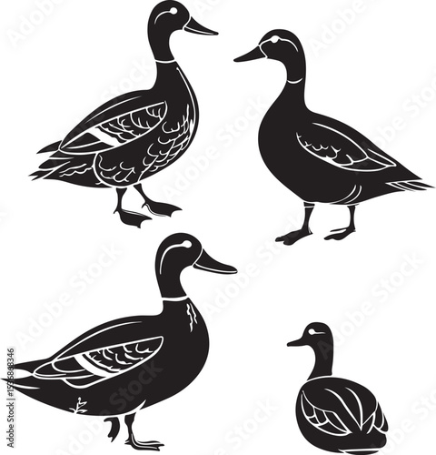 Set of duck silhouettes vector