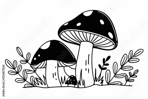 mushrooms in the grass