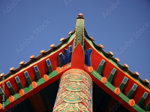 Stilt Construction: Similar to the more elaborate traditional houses, many rural poor homes are built on stilts, providing protection from floods and improving air circulation.
Materials: Bamboo: The 