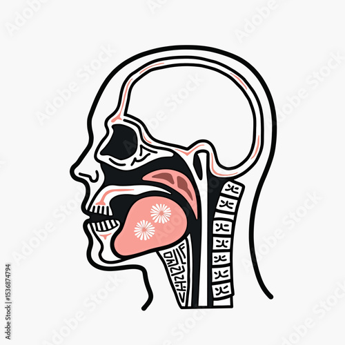 A stylized medical illustration showing a cross-section of the human head, detailing the oral and nasal cavities, pharynx, and spine for educational use.
