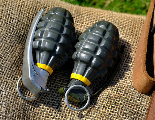 The Mk 2 grenade also nicknamed the Pineapple is a fragmentation-type anti-personnel hand grenade introduced by the U.S. armed forces in 1918.