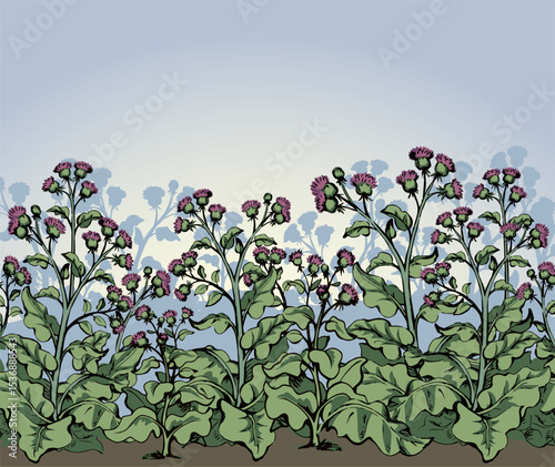 Big blooming burdock. Vector drawing