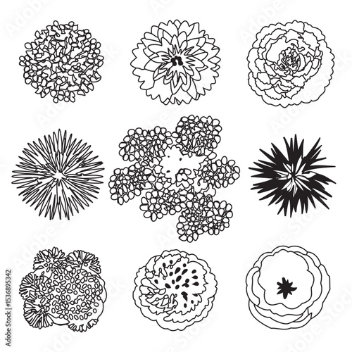 Ensemble d'Icones Arbres pour Plans de Jardins en Noir et Blanc - Illustration Vecteur