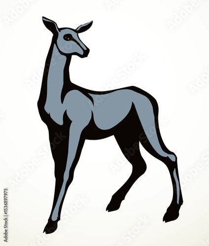 Beautiful female deer. Vector drawing
