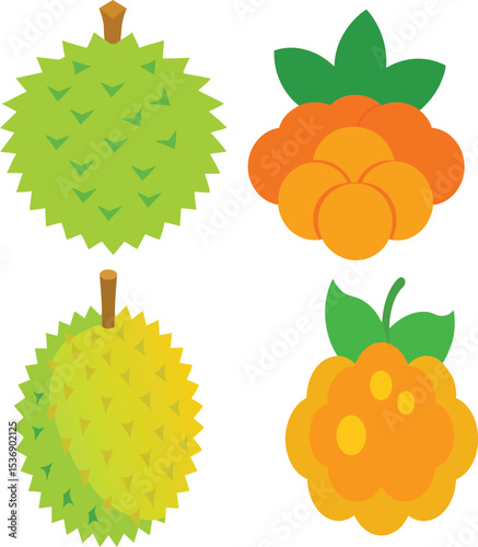 Fresh bundle of durian and cloudberry fruits, tropical exotic fruit mix, ripe durian with spiky shell and sweet cloudberry berries, healthy natural food, vibrant colorful fruit collection image