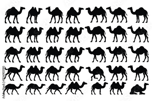 Collection of camel silhouettes dromedary bactrian