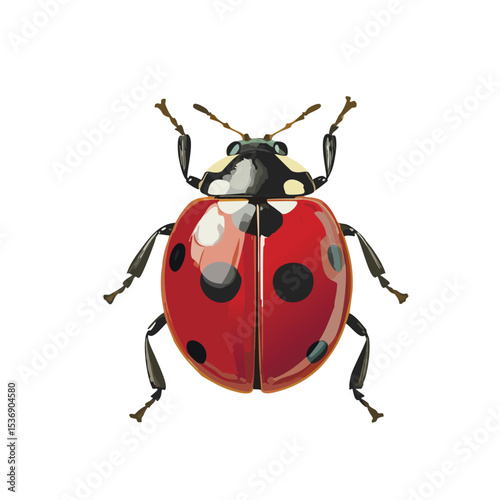 Red ladybug insect vector character isolated on white background.