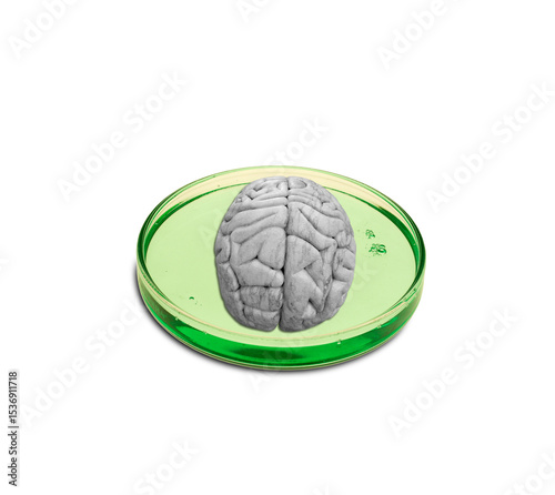 Mental health research, conceptual illustration