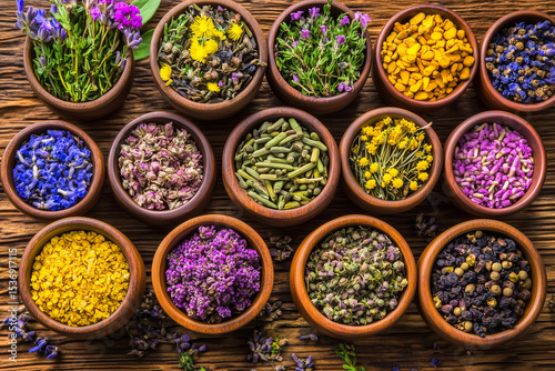Various Traditional Chinese Herbal Medicine Ingredients Displayed as Background Concept