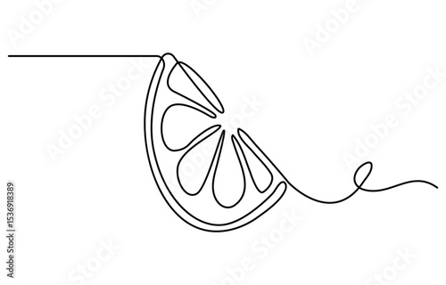 Orange fruit whole and a slice in continuous line art drawing style. Black line sketch on white background. Vector illustration