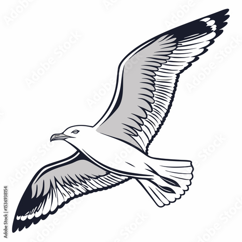 Seagull Herring Gull Continuous Line Drawing with Editable Stroke and Color Elements
