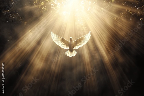 Divine Dove in Radiance