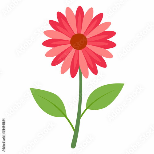African Daisy: Floral Icon


