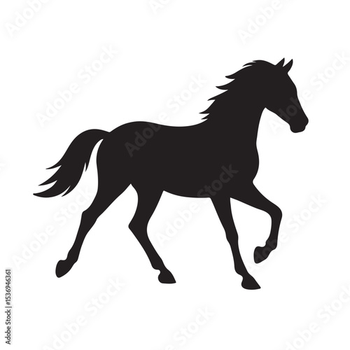 Graceful Horse Galloping Freely in Silhouette with Flowing Mane