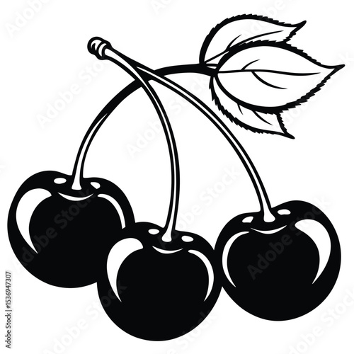 vector illustration of cherries
