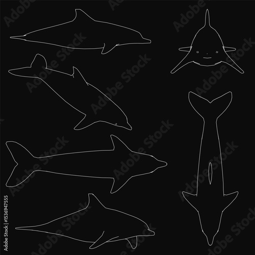 Six white-outlined dolphin stand out against a black background, creating a bold contrast. The set features clean, minimalist silhouettes with sharp details.