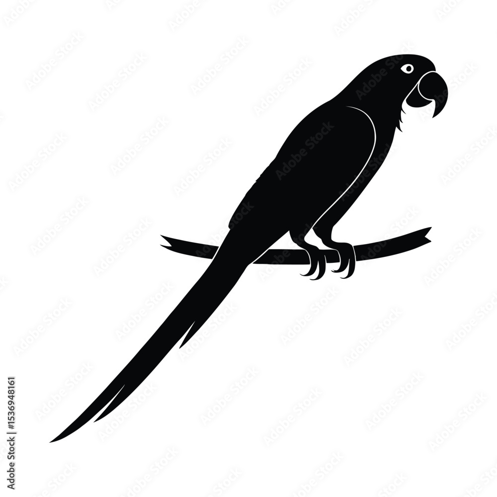Fototapeta premium Parrot on branch silhouette graphic.