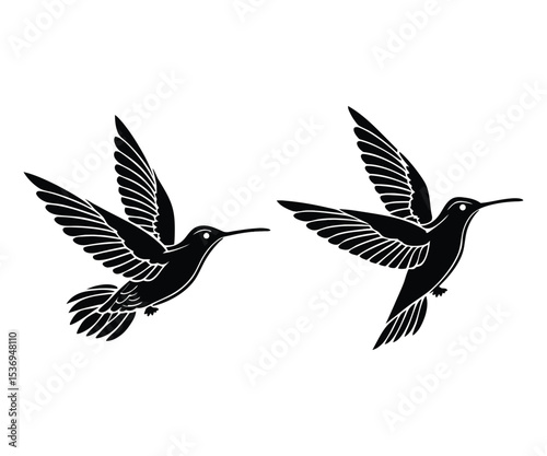 Two hummingbirds in flight silhouette.