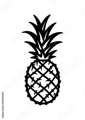 pineapple vector sketch .
