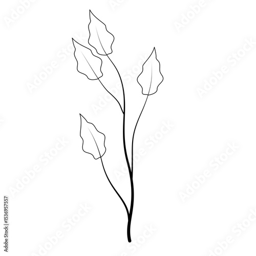 Plant Leaves Leaf Tree Nature Tropical
