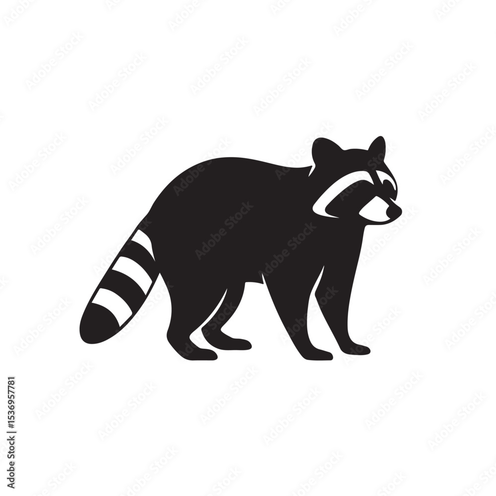 Fototapeta premium Black Silhouette of a Standing Raccoon with Striped Tail