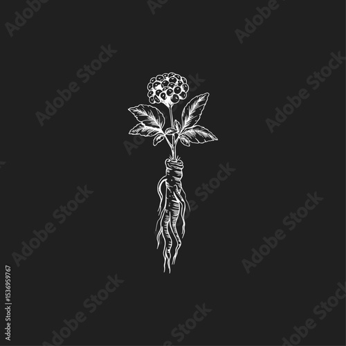Ginseng plant icon logo flat vector design