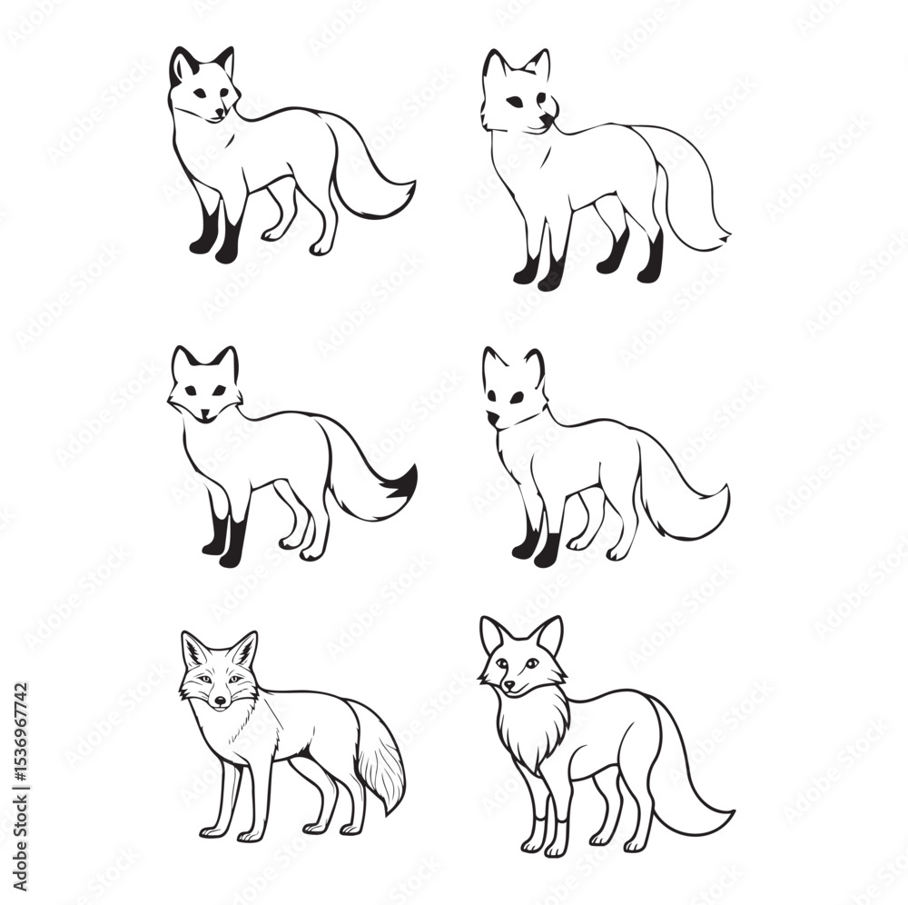 Fototapeta premium fox_group_vector_image
