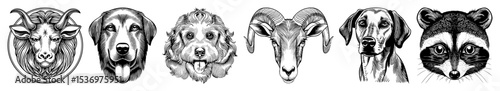Vector Detailed illustrations of various animal heads showcase intricate linework.