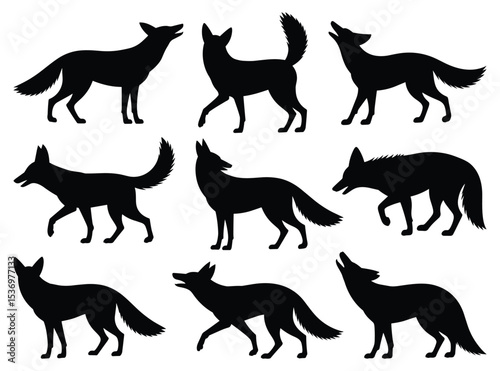 Set of jackal silhouettes in various poses. isolated vector on white background.