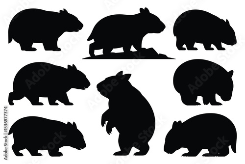 Set of wombat silhouettes in various poses. isolated vector on white background.