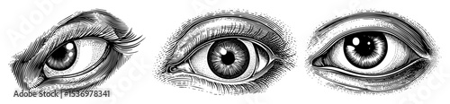 Vector Detailed illustrations of three human eyes showcase intricate linework and varying expressions.