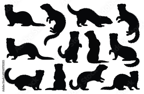 Set of ferret silhouettes in various poses. isolated vector on white background.
