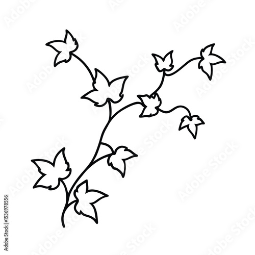 Detailed illustration of climbing ivy vines lush green foliage natural texture botanical design element