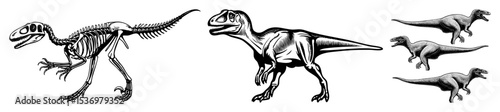 Vector Detailed illustrations of a dinosaur skeleton and a reconstructed dinosaur in various poses.