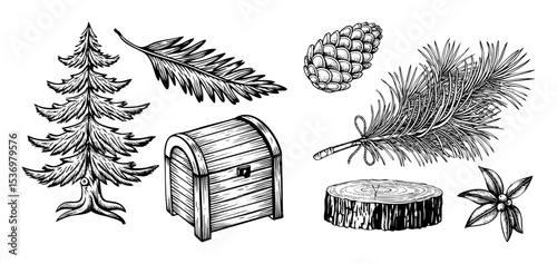 Vector Vintage forest elements including a tree chest and pinecone .