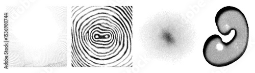 Vector Dynamic vector showcase evolving geometric forms.