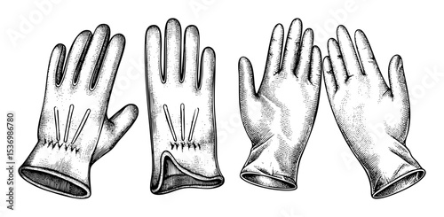 Vector Four detailed illustrations of protective hand coverings depict various perspectives.